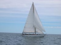 Rhodes cutter. Brief sailing companion.